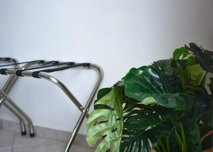 Apartament Daphne's 1 *